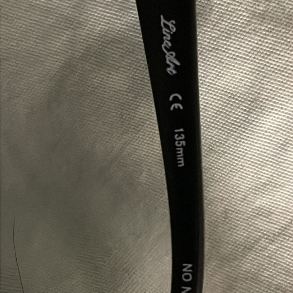 Ladies Titanium Charmant Frames - image 6